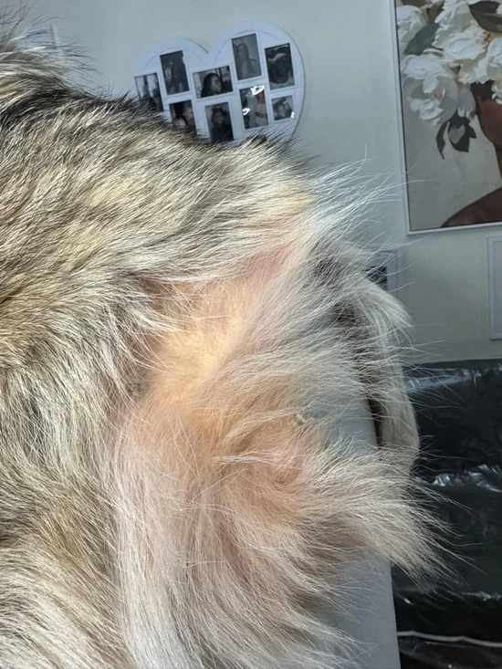 Lux Genuine Fox Fur & White Leather Vintage Jacket - Picture 9 of 16